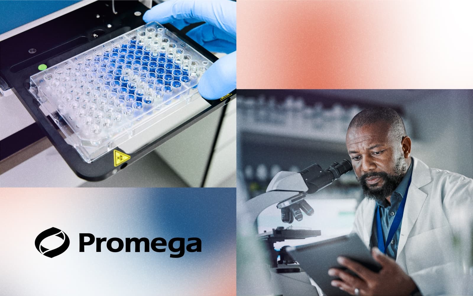 CASE STUDY Promega (1)
